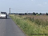 Zandlemig Vlaanderen